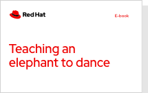 E-book cover of Teaching an elephant to dance